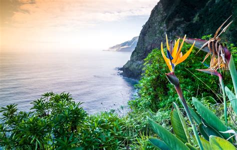 Madeira Weer In December ☀️ Gemiddelde Watertemperatuur 🌦️️