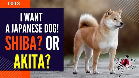 Popular worldwide, and already up thousands of percent, shiba token ($shib) is the first cryptocurrency token to be listed and incentivized on shibaswap, our decentralized exchange. shiba inu vs akita :: Search :: ViewTube