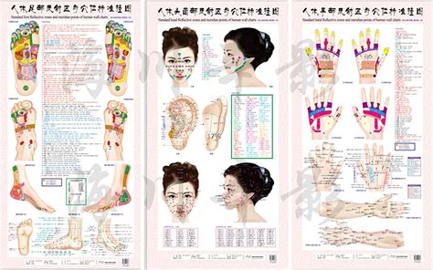 Welliestr 3 Pcs Hand Head Foot Reflexology Acupressure Wall Chart