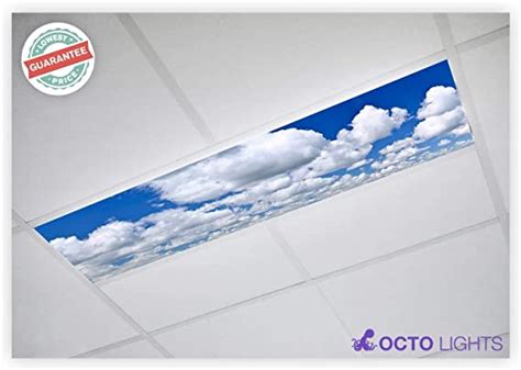 Octo Lights Fluorescent Light Covers 1x4 Flexible Ceiling Light