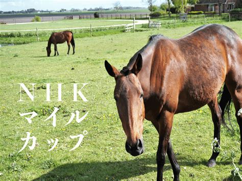 Последние твиты от nhkアニメ (@nhk_animeworld). NHKマイルカップ 2017 真の傾向とは - HONESTY