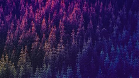 Download 1920x1080 Forest Purple Top View Pattern Wallpapers For