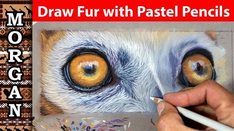 How To Draw Fur With Pastel Pencils Youtube