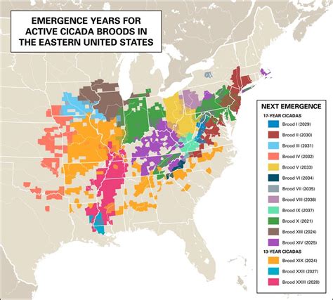 Map Emergence Years Cicada Broods United States 