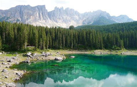 Wallpaper Forest Trees Mountains Lake Stones Rocks Shore Italy