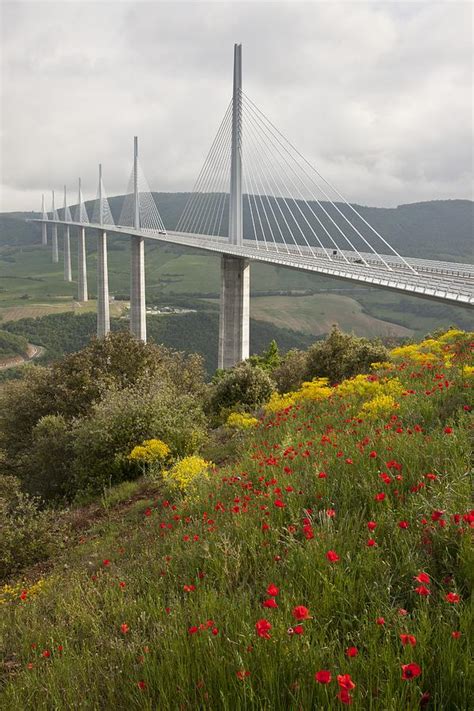 The Millau Viaduct France Photograph By Science Photo Library Fine