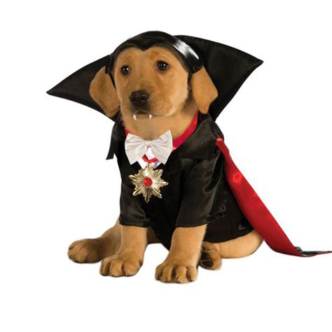 Halloween Dracula Dog Costume Baxterboo