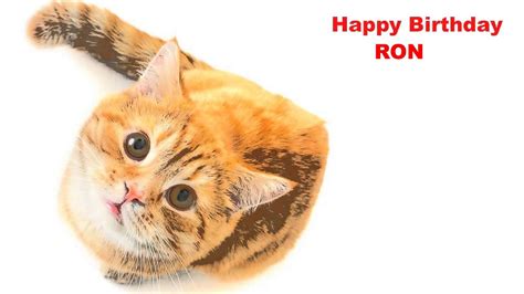 Ron Cats Gatos Happy Birthday Youtube
