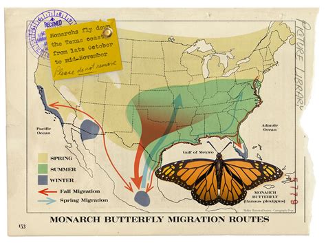 Jack Molloy Texas Highway Magazine Monarch Migration Joaniebrep