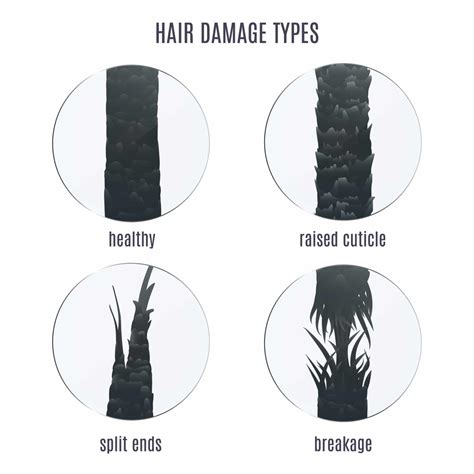 6 Types Of Hair Damage Cause Identification And How To Fix Them