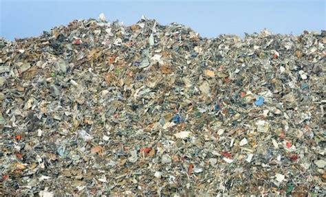 Half Of Britains Plastic Bottles End Up In Landfills Bottles