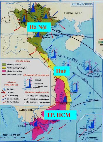 Tiêm đủ liều vắc xin có thể bị dương tính, nhưng rất ít. Bài 31: Đặc điểm khí hậu Việt Nam - Học giải bài tập