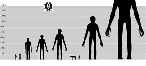 Attack On Titan Height Scale