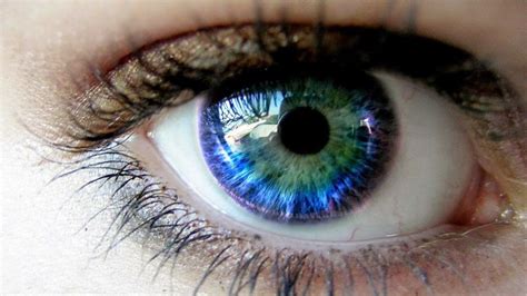 Check spelling or type a new query. Alasan Warna Mata Setiap Orang Berbeda : Okezone techno