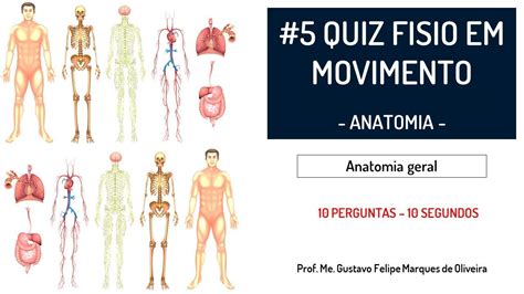 5 Quiz Anatomia Dos Sistemas Do Corpo Humano Estudar Para Prova De