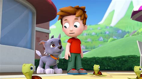 Watch Paw Patrol Season 1 Episode 2 Pups Save The Sea Turtlespup And