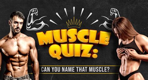Can you hear the roar of that corvette engine? Muscle Quiz: Can You Name That Muscle? | BrainFall