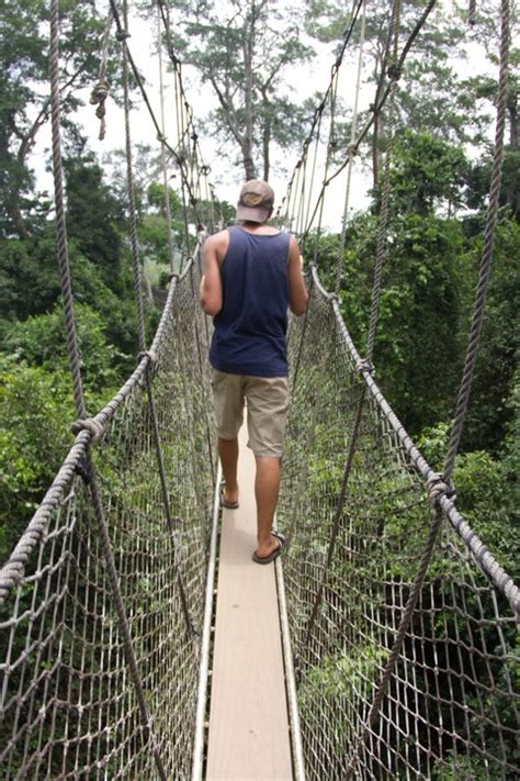 Ghana Gets Africa's First Canopy Walkway On The Sea ...