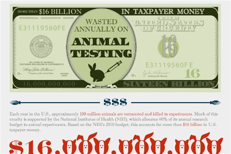 27 Animal Experimentation Statistics and Facts ...