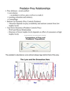 energy through an ecosystem worksheet