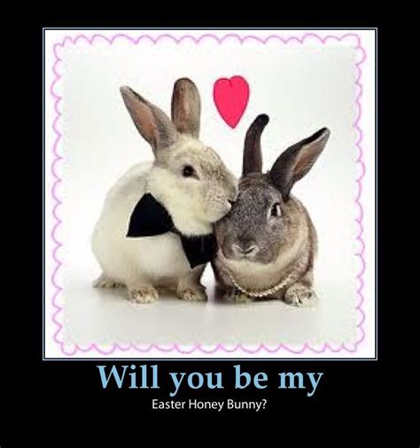 Funny Easter Bunny Easter Bunny Jokes And One Liners