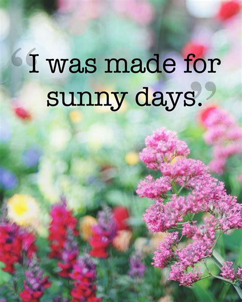 Bring Some Sunshine Into Your Life With These Summer Quotes Short