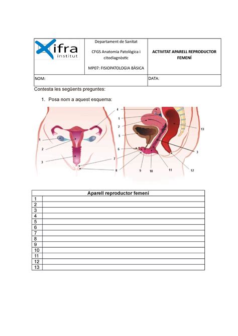 Activitat Aparell Reproductor Femení Departament De Sanitat Cfgs