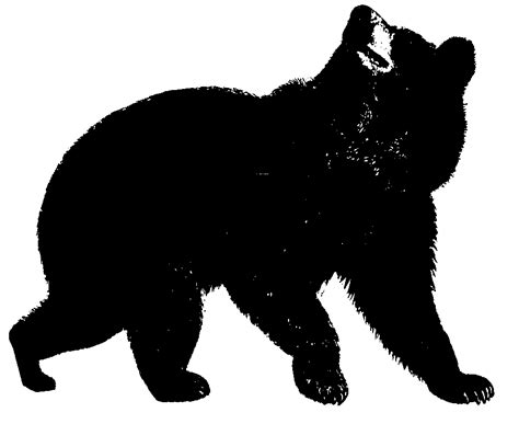 Wildlife clipart 20 free Cliparts | Download images on Clipground 2021