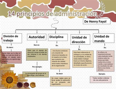 Administracion Mapa Mental Introduccion A La Contabil