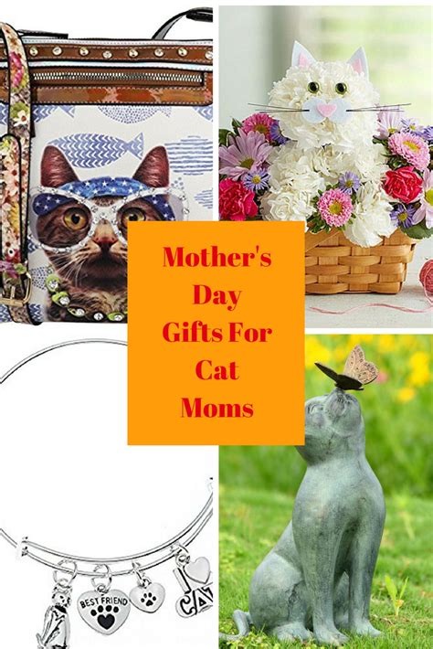 Check spelling or type a new query. Mother's Day Gifts: 7 Last Minute Ideas For Cat Moms ...