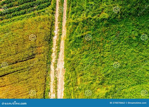 Aerial View Of Agriculture Fields And Road Arable Land View From