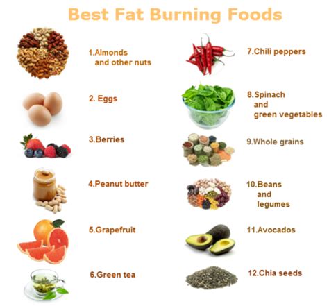 Lose weight fast by choosing these top superfoods you probably haven't heard of. Best ways to lose belly fat quickly, best fat burning foods