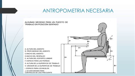 Medidas Basicas De Antropometria Image To U