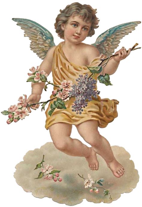 Cherub Angel Png Hd Isolated Png Mart