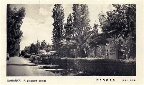 פועלים חקלאיים שנבחרו ממושבות הברון. תמונות מספרות: צפון הארץ, טבריה, הכינרת וסביבתה