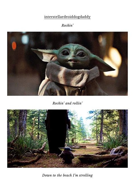 From baby yoda, many memes have emerged. Baby yoda seagulls | Funny star wars memes, Yoda meme, Yoda