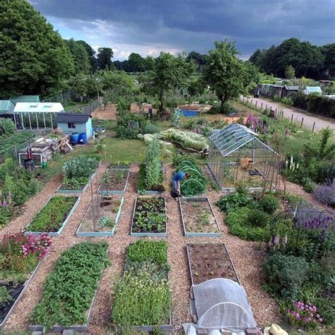 Our Permaculture Plot In June Is The Best Place You Can See The No Dig