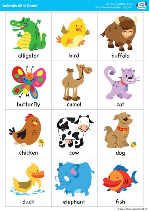 Songs Animals Mini Cards Flashcards For Kids Flashcards For