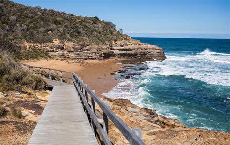 The Best Bushwalks To Experience Nature On The Central Coast News