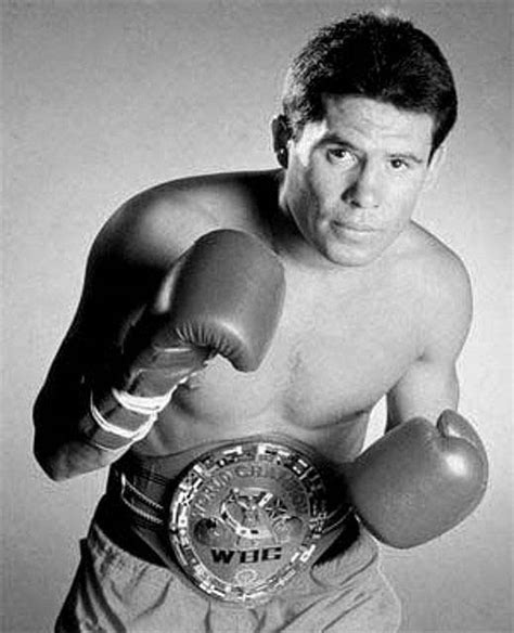 Julio Cesar Chavez The Mexican Boxing Icon