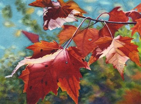 Autumn Leaves Art Watercolor Painting Print By By Cathyhillegas