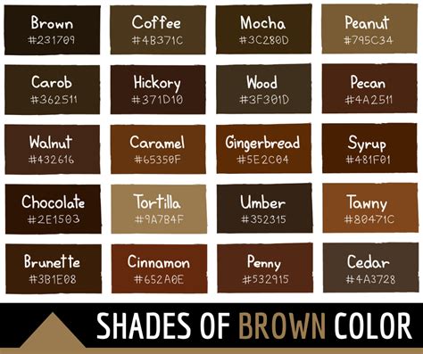 128 Shades Of Brown With Names Hex Codes RGB CMYK 2023