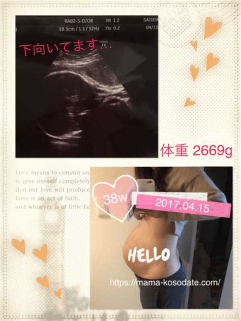 【妊娠後期】8ヶ月～10ヶ月の体調、お腹、エコー写真のまとめ ...