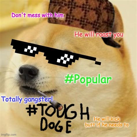 Tough Doge Imgflip