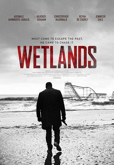 Wetlands Movie Review And Film Summary 2017 Roger Ebert