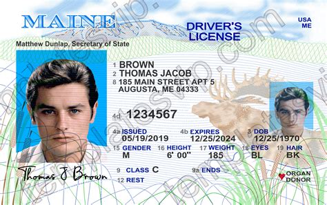 Maine Me Drivers License Psd Template Download Templates Drivers