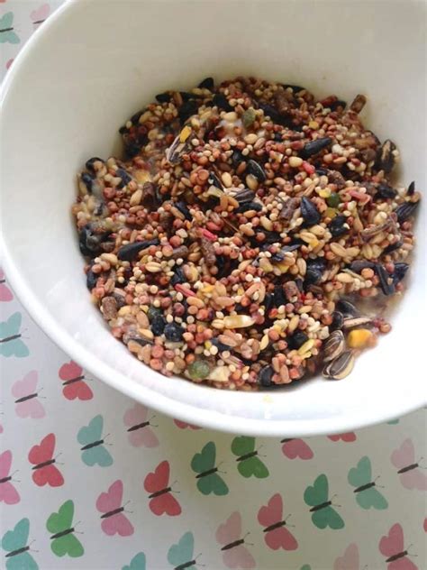 Technically, suet is the hard fat around the kidney and loins in cattle. DIY Bird Feeder Suet Recipe