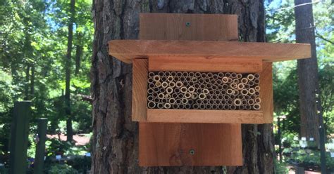 Nesting Boxes Enhance Habitat For Native Bees