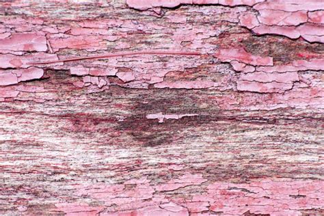 Wood Texture Background Old Panels Close Up Pink Bark Of A Tree With