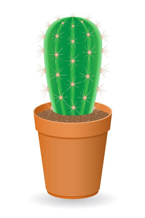 Illustration Vectorielle De Cactus Telecharger Vectoriel Gratuit